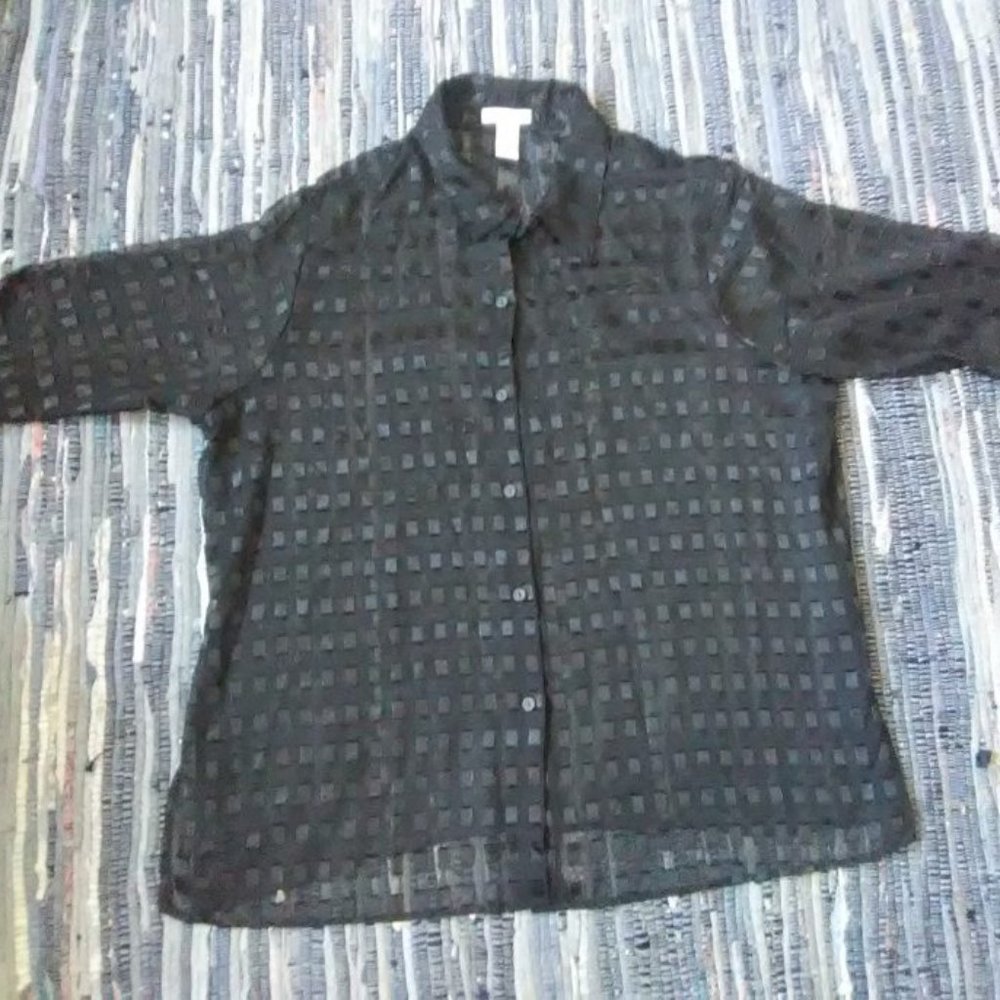 Sheer Notations Woman blouse 2X black